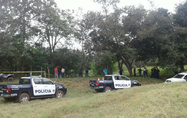 Decomisan droga en potrero de Chumajal de Guararé - Panamá América