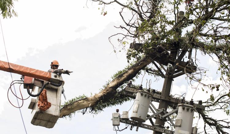 Esta afectación en electricidad ha generado poco desarrollo. /Foto EFE