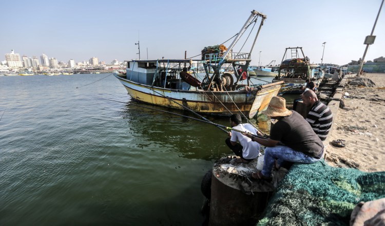 España gastó 12,053 millones de dólares en productos del mar en 2017. /Foto EFE