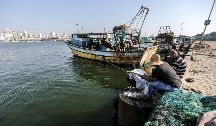 España  gastó  12,053 millones de dólares en  productos del mar en 2017. /Foto EFE