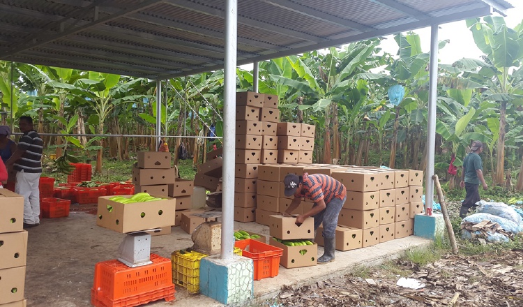 Se evaluará producción de cada empresa participante. Archivo