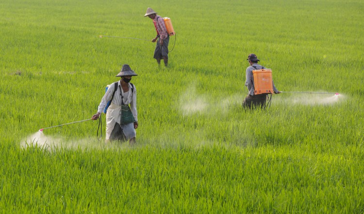 El futuro de la agricultura apunta a los robots, los 