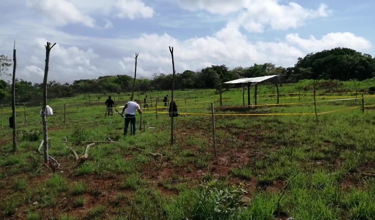 En su comunicado este organismo solicita acciones en contra de la invasión de tierras. Eric A. Montenegro 