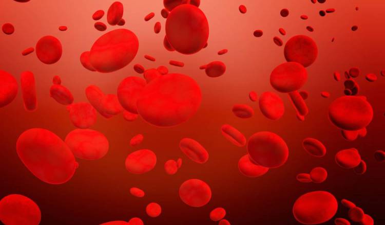 En Panamá, 882 personas presentan algún tipo de trastorno en la coagulación de la sangre. Pixabay