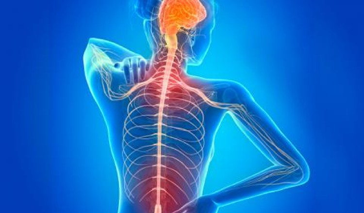 A nivel mundial 2.3 millones de personas padecen de esclerosis múltiple mal crónico inflamatorio que afecta al sistema nervioso central. Foto: Pixabay