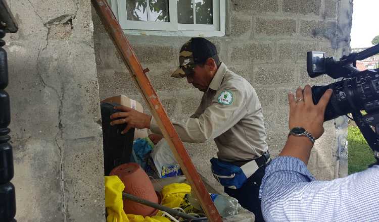 Funcionarios del Minsa eliminan criaderos de mosquitos en San Miguelito.  Cortesía