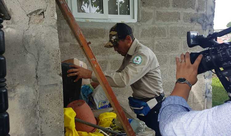 Funcionarios del Minsa eliminan criaderos de mosquitos en San Miguelito. Cortesía