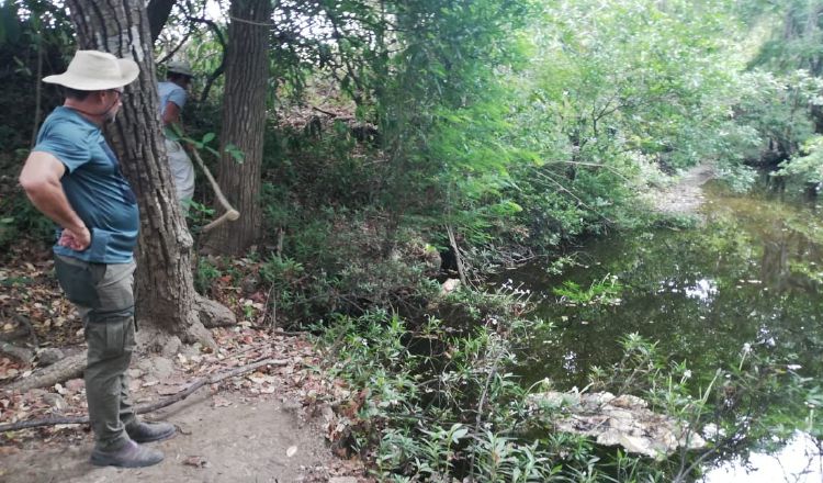 El río Estivaná, principal afluente del río La Villa, abastece de agua a las potabilizadoras de Llano de Piedra  y la de Macaracas. Foto/Thays Domínguez