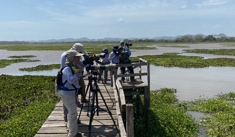 Muchos especialistas llegan al país para recolectar información de las especies de aves que visitan nuestras costas. Tharyn Jiménez