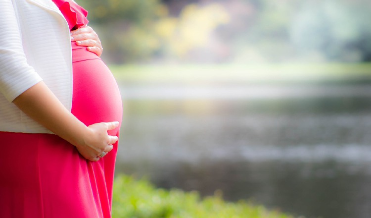 Permitirá garantizar tasas más confiables en cuanto al estudio genético del embrión. Pixabay