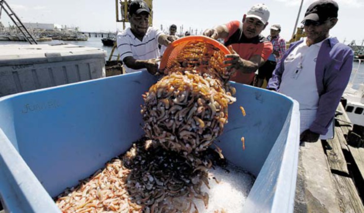 Sector pesquero se ha quejado por su difícil situación económica.  