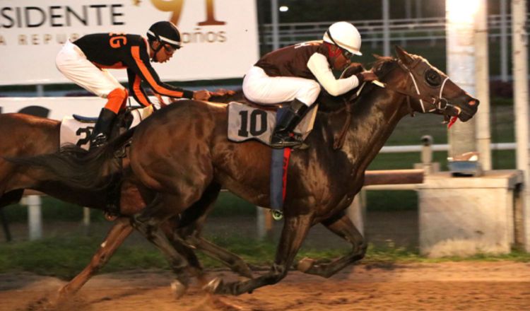 Las carreras en el Hipódromo Presidente Remón se encuentran paralizadas. Foto: Archivo