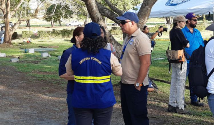 Los trabajos se realizan en el Jardín de Paz. 