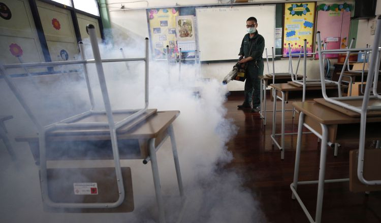 Cuadrillas del Ministerio de Salud visitan casa por casa fumigando y ubicando criaderos. 