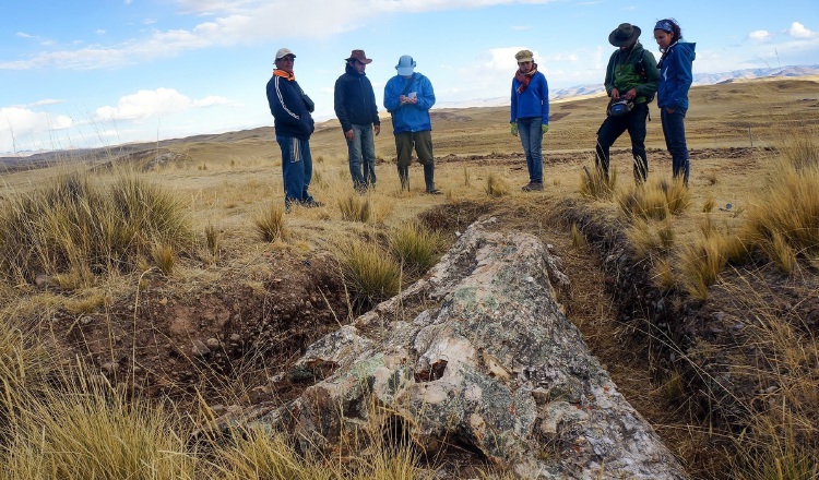Fotografía cedida hoy por el Instituto Smithsoniano que muestra a investigadores mientras examinan  un árbol fósil de 10 millones de años, en San Miguel (Perú). 