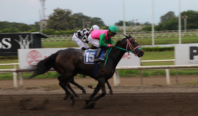 La accidentada sexta carrera de ayer fue ganada por Gift Of Friends sobre Princesa Primorosa. Erick Monroe