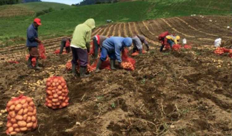 El Mida pide continaura con las labores de producción. Archivo