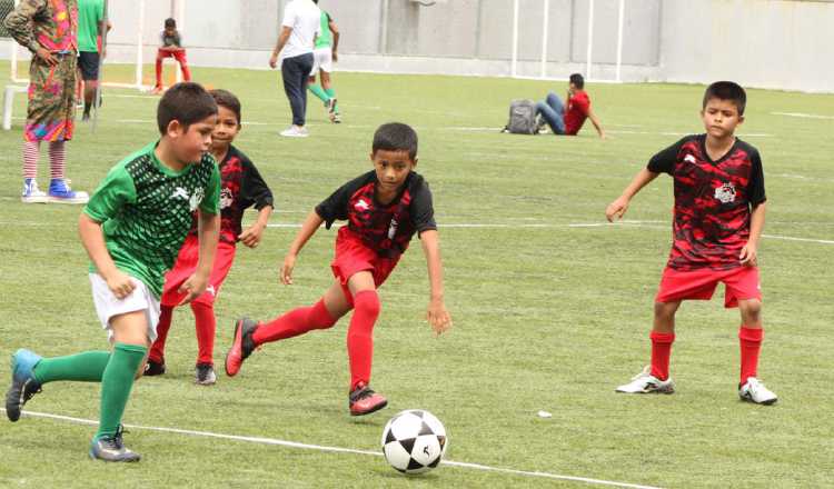 El torneo de Sub-9 a Sub-13 Foto:Cortesía