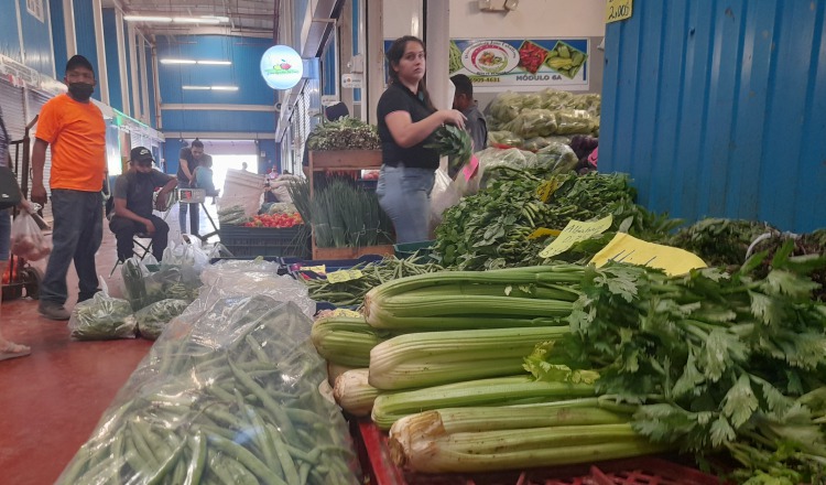 La mayoría de los legumbres que llega a los mercados nacionales provienen de Tierras Altas Chiriquí. Cortesía