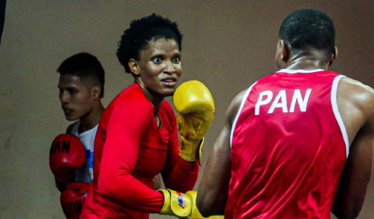 Campeonato Continental Ecuador  Federación Mexicana de Boxeo