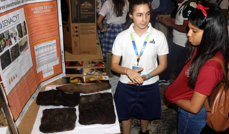 Tamar Kolangui Malca  del 11º grado del colegio  Magen David Academy enseña los modelos de trampa hechas con cabellos para erradicar derrames de petróleo en el mar. Víctor Arosemena