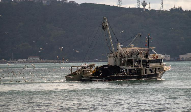 En los últimos años se ha actualizado las normas sobre la actividad pesquera en el país.  Foto ilustrativa