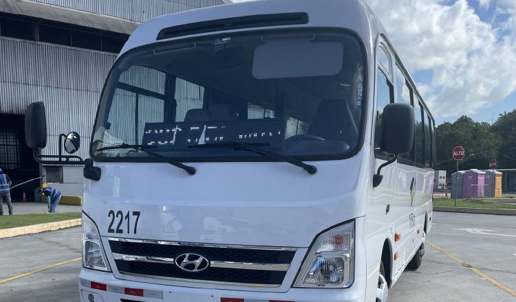 MiBus ha puesto en circulación algunos buses medianos.  Cortesía