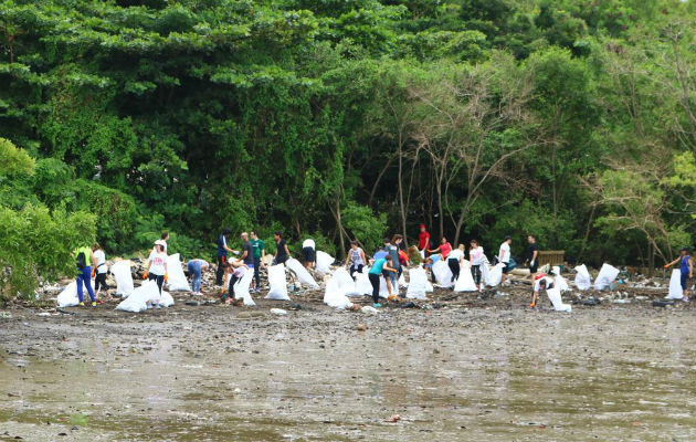 Durante la jornada de limpieza de la costa por los colaboradores de adidas. Foto: Cortesía..