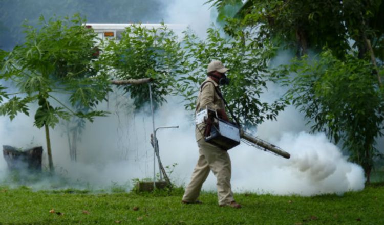 La fumigación es una de las claves contra los mosquitos. Foto: Panamá América