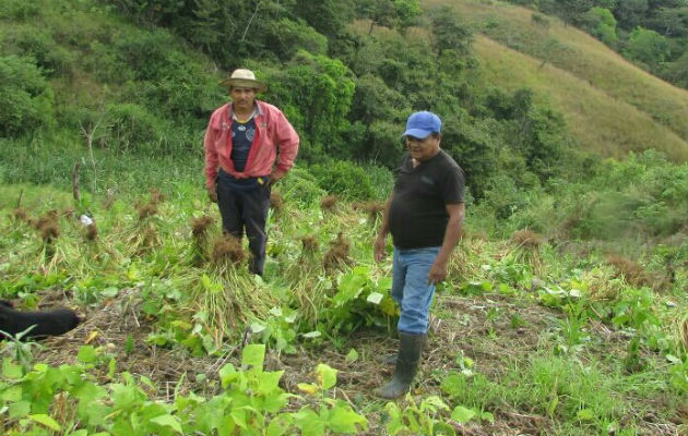 Productores agropecuarios están preocupados por la dura situación. Foto: Thays Domínguez. 