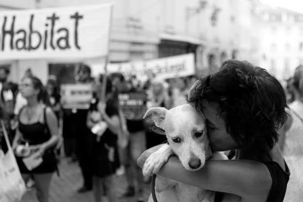 Un estado de ánimo es el estado emocional de un individuo, mientras que el afecto es la expresión de tales emociones. Foto: EFE.