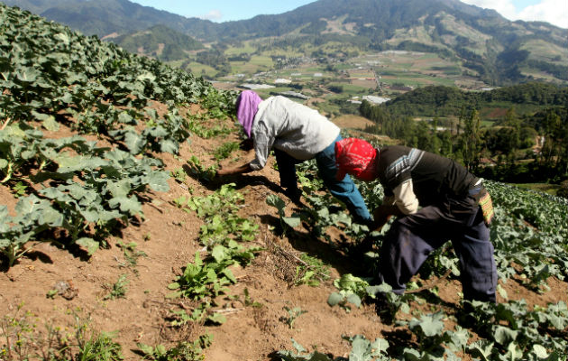 La mayoría de los afectados por los cambios climáticos son pequeños productores que viven alejados de los centros urbanos.