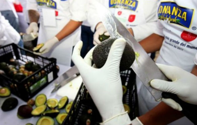 La elaboración del guacamole más grande del mundo, en México. Foto: EFE