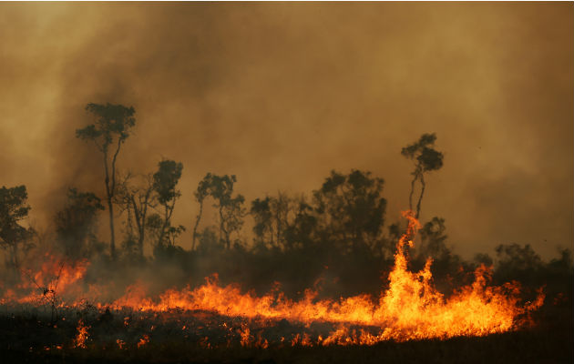 Ambientalistas dicen que líderes mundiales y corporativos deben ser criminalmente responsables de los desastres ecológicos. Una escena del estado brasileño de Amazonas, este mes. Foto/ Bruno Kelly/Reuters.