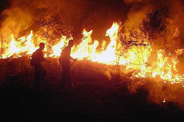 Los Bomberos del estado de Acre, tratan de hacerle frente a las inmensas llamas. FOTO/EFE