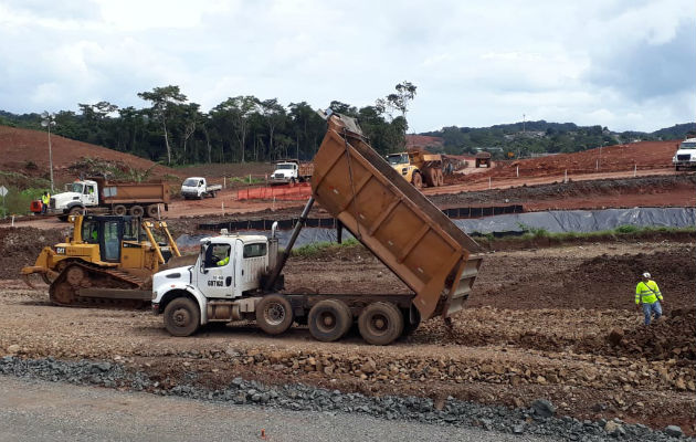 La ampliación de la Panamericana provocará la deforestación de 91 hectáreas.