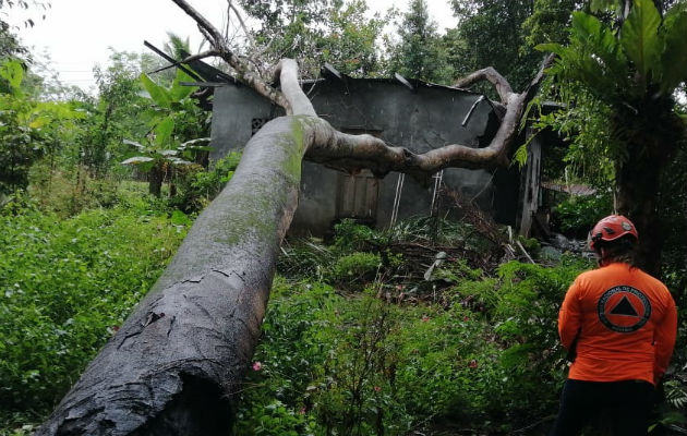 Funcionarios del Sinaproc acudieron al área. Foto: José Vásquez. 