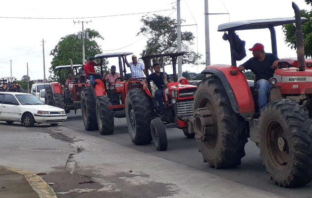 Los productores de arroz viajan en los tractores y camiones hasta la ciudad de David, en la provincia de Chiriquí. 