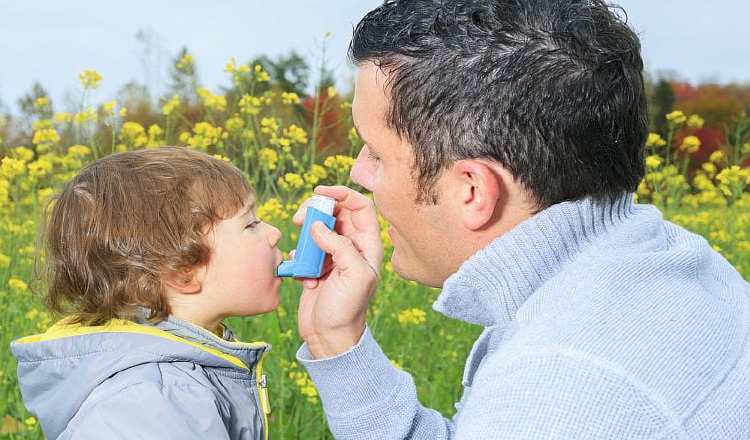 El asma es una enfermedad multifactorial.  Pixabay