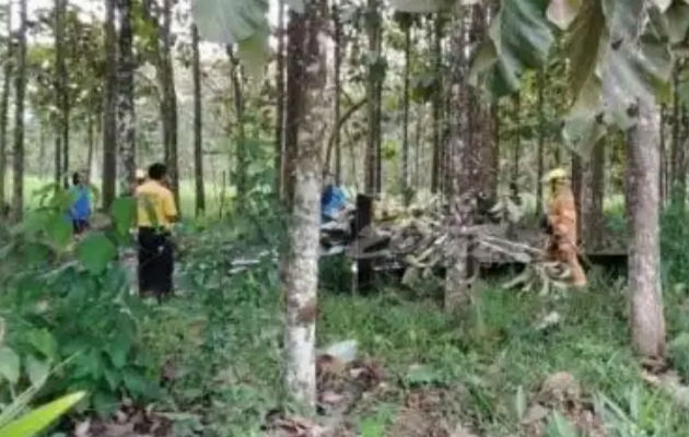 El piloto se estrelló contra una plantación de árboles de teca.