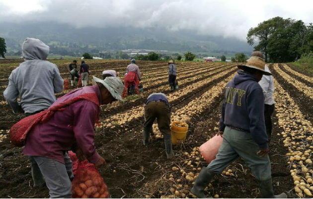 La región de Centroamérica importó cerca de 27 mil millones de dólares en el 2016, y Panamá representó tan solo 2.5% de ese valor.