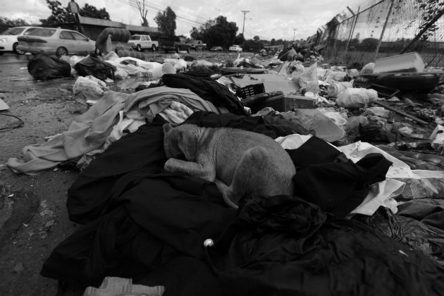 En el país se producen más de cuatro mil toneladas de desperdicios. Foto: Archivo.