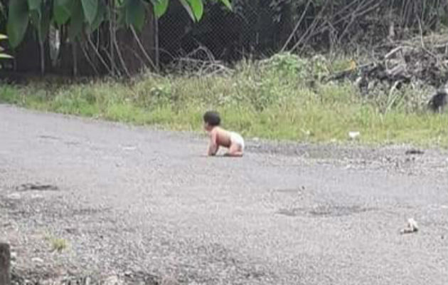 La criatura aparenta tener menos de un año de edad. Foto: Mayra Madrid.