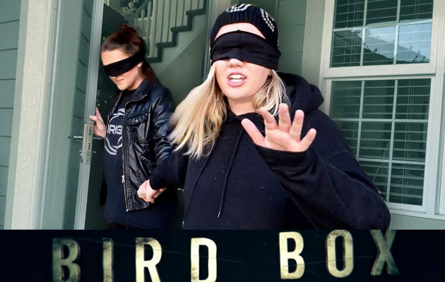 Bird Box.