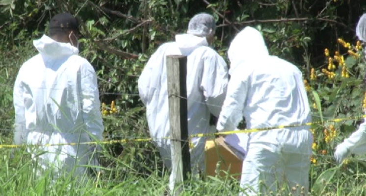 El cuerpo de la víctima presentaba cinco heridas con arma blanca y fue encontrado tirado en medio de una finca privada en el sector Nueva Estrella, en Rambala, distrito de Chiriquí Grande.