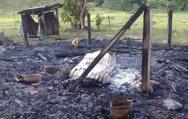 Las llamas consumieron la vivienda de zinc y madera en Bocas del Toro. 