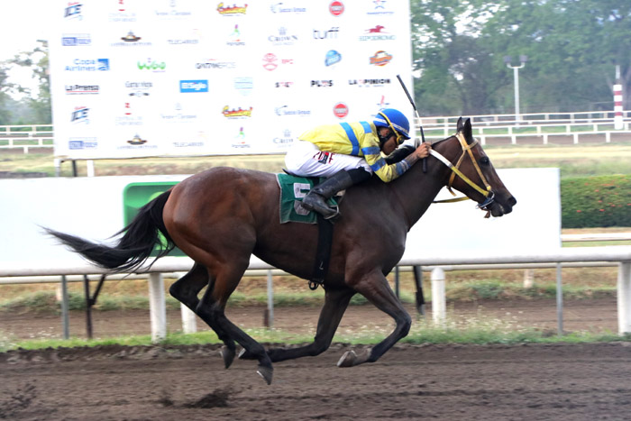 Bubble Marigold viene de ganar en 1:13 para 1,200 metros.