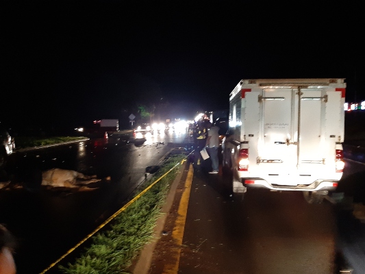 El jinete y el caballo fueron atropellados en la vía interamericana en la comunidad de Génesis de la ciudad de Santiago. Foto/Melquiades Vásquez