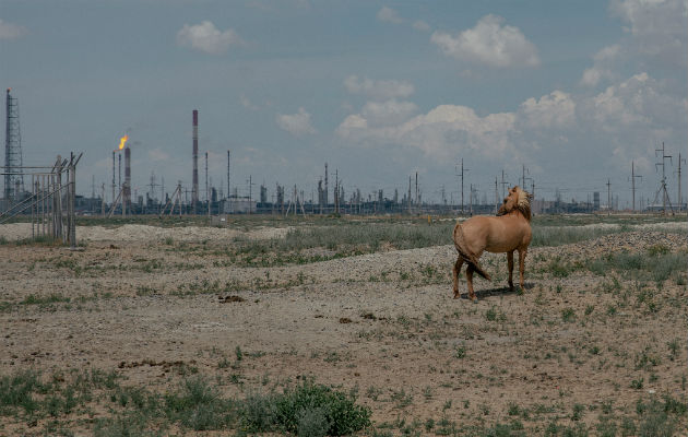 Caballos en el campo petrolero de Tengiz, que proporciona casi una cuarta parte del ingreso nacional de Kazajistán. Foto/ Nanna Heitmann para The New York Times.