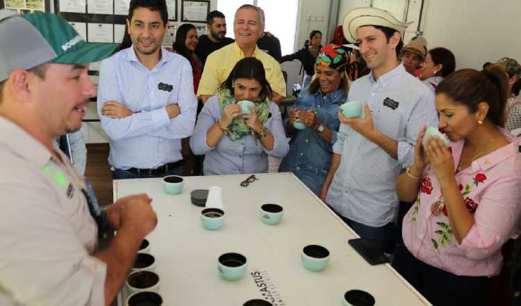 Café Geisha de Panamá es reconocido a nivel mundial. Archivo